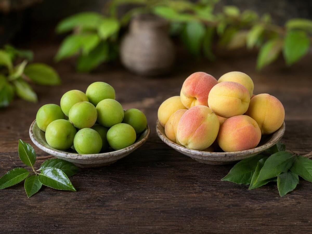 So sánh quả Ume và mơ má đào